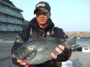 春日丸 釣果