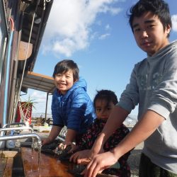 浜名湖フィッシングリゾート 釣果