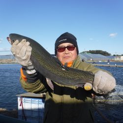 浜名湖フィッシングリゾート 釣果