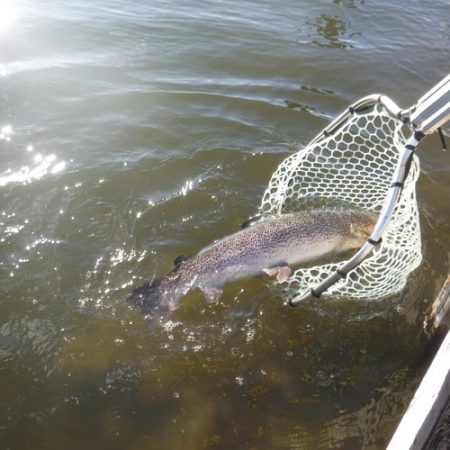 浜名湖フィッシングリゾート 釣果