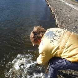 浜名湖フィッシングリゾート 釣果