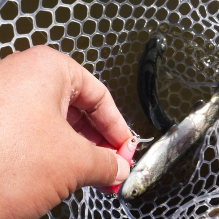 浜名湖フィッシングリゾート 釣果