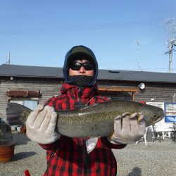 浜名湖フィッシングリゾート 釣果