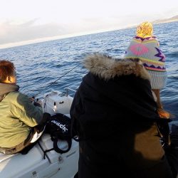 フィッシングボート空風(そらかぜ) 釣果