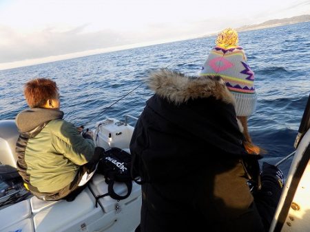 フィッシングボート空風(そらかぜ) 釣果