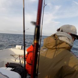 フィッシングボート空風(そらかぜ) 釣果