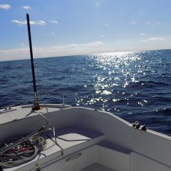 フィッシングボート空風(そらかぜ) 釣果