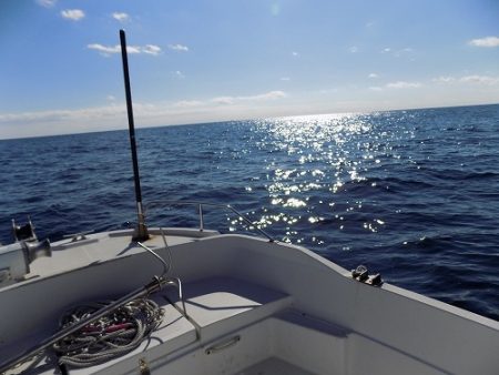 フィッシングボート空風(そらかぜ) 釣果