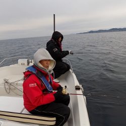 フィッシングボート空風(そらかぜ) 釣果