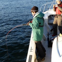 Fisherman Dreams DI 釣果