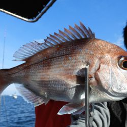 Fisherman Dreams DI 釣果