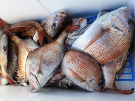 Fisherman Dreams DI 釣果