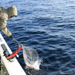 Fisherman Dreams DI 釣果