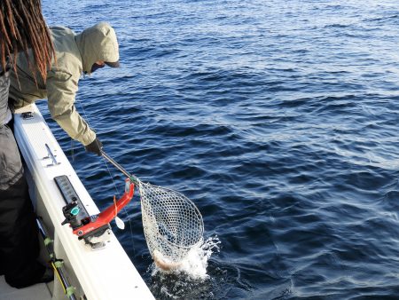 Fisherman Dreams DI 釣果