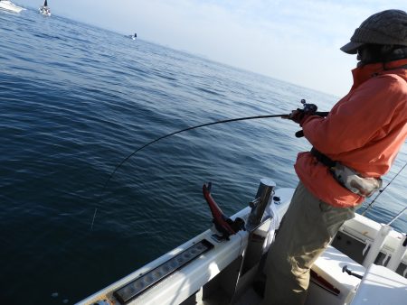 Fisherman Dreams DI 釣果