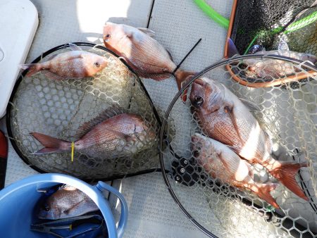 Fisherman Dreams DI 釣果