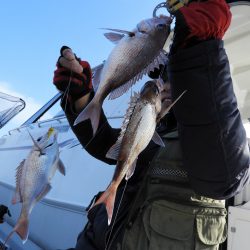 Fisherman Dreams DI 釣果