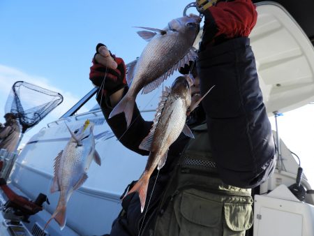 Fisherman Dreams DI 釣果