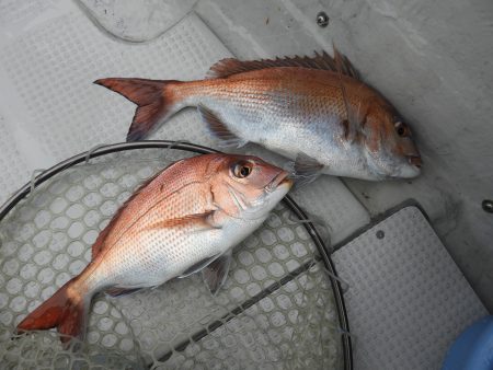 Fisherman Dreams DI 釣果