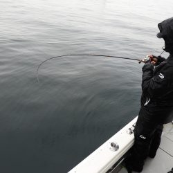 Fisherman Dreams DI 釣果