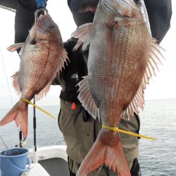 Fisherman Dreams DI 釣果