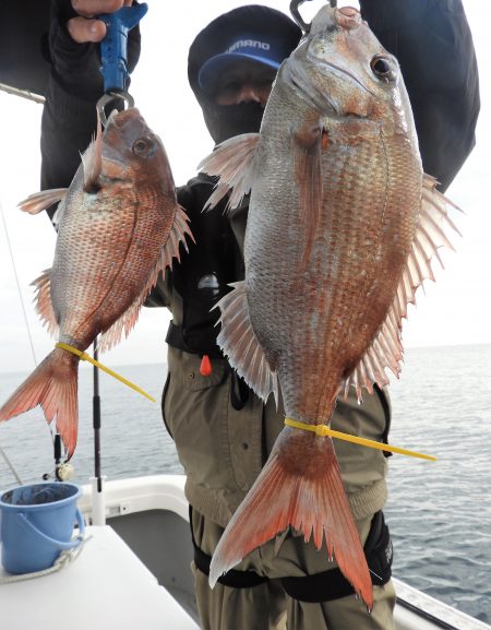 Fisherman Dreams DI 釣果