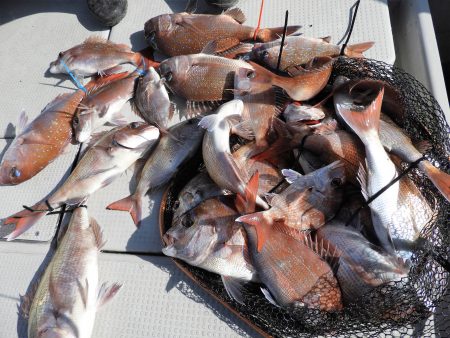 Fisherman Dreams DI 釣果