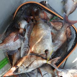 Fisherman Dreams DI 釣果