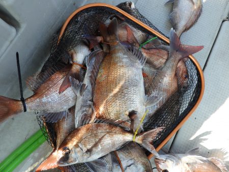 Fisherman Dreams DI 釣果