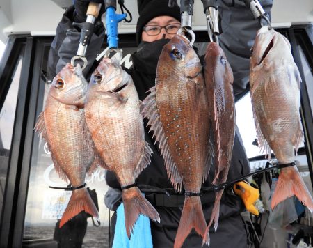 Fisherman Dreams DI 釣果