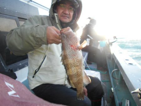 大進丸（愛知） 釣果