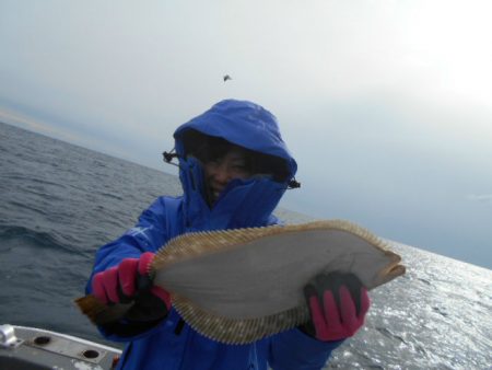 大進丸（愛知） 釣果