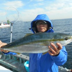 大進丸（愛知） 釣果