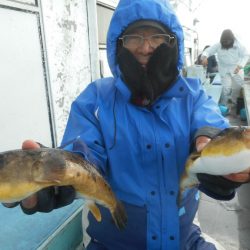 大進丸（愛知） 釣果