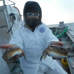 大進丸（愛知） 釣果