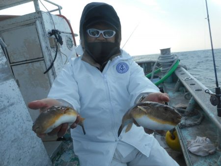 大進丸（愛知） 釣果