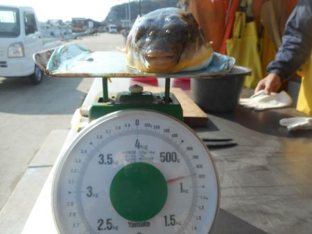 大進丸（愛知） 釣果