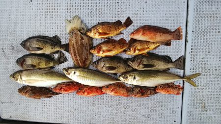 第二常豊丸 釣果