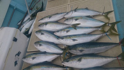 旭星釣りセンター 釣果