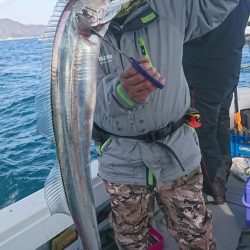 武士(SAMURAI) 釣果