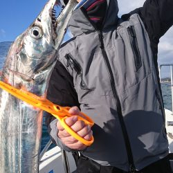 武士(SAMURAI) 釣果