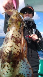 愛海丸 釣果