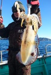 愛海丸 釣果