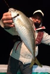 愛海丸 釣果