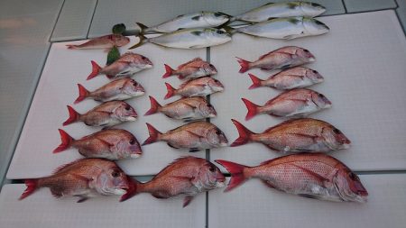 フィッシングボートACE(エース) 釣果