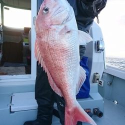 フィッシングボートACE(エース) 釣果