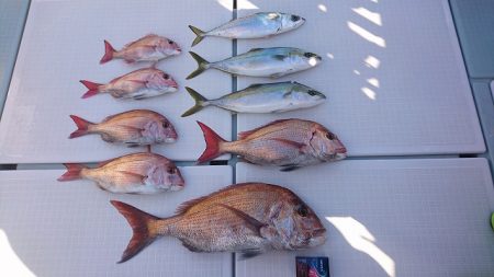 フィッシングボートACE(エース) 釣果