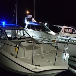 フィッシングボートACE(エース) 釣果