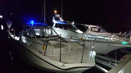 フィッシングボートACE(エース) 釣果