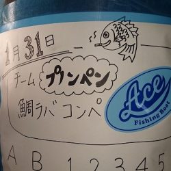 フィッシングボートACE(エース) 釣果
